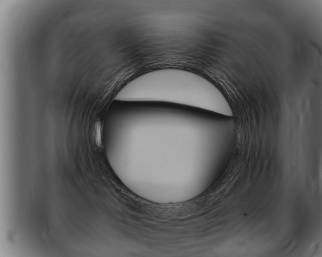 X0000091980046200709061201