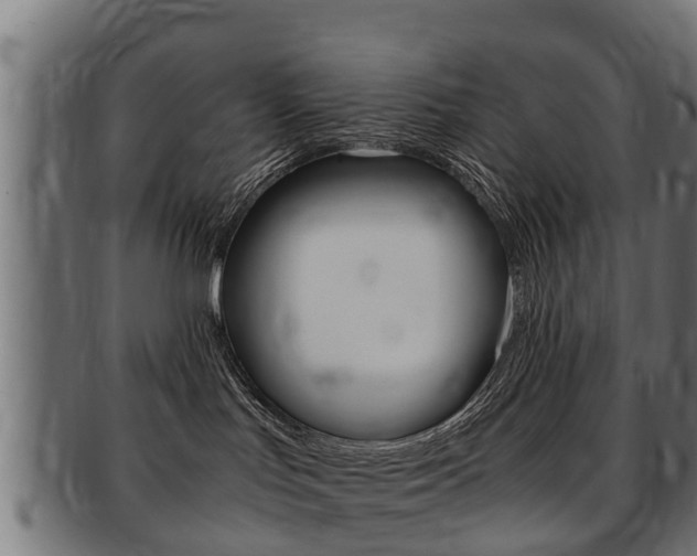 X0000091980047200709061201