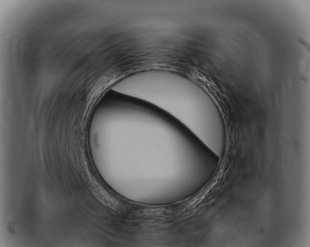 X0000091980049200709061200