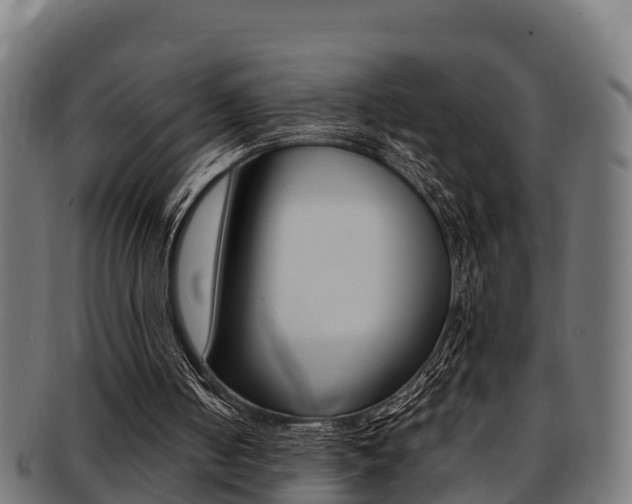 X0000091980050200709061200