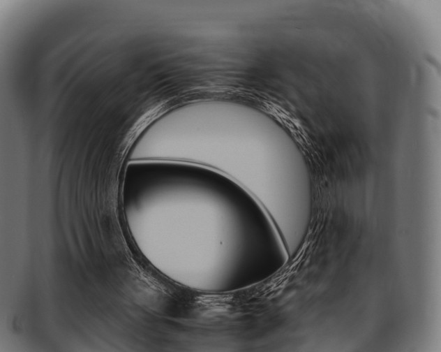 X0000091980051200709061200
