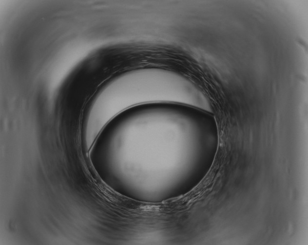 X0000091980052200709061200