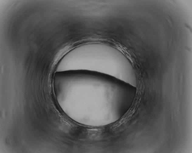 X0000091980053200709061200