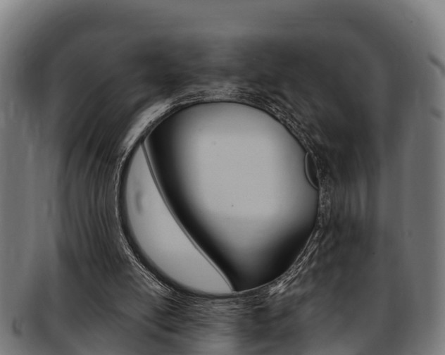X0000091980054200709061200