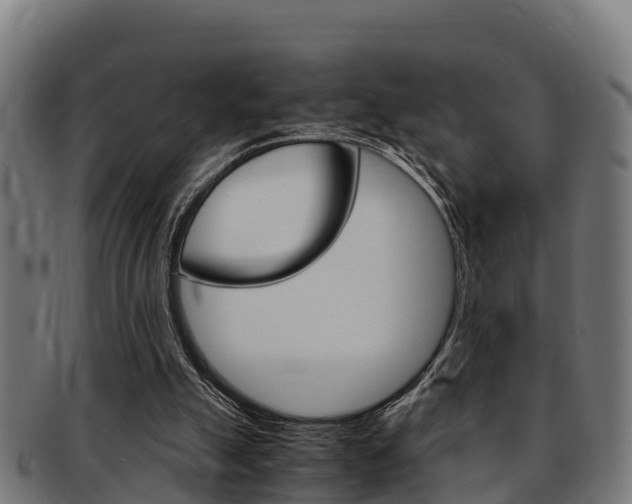 X0000091980055200709061200
