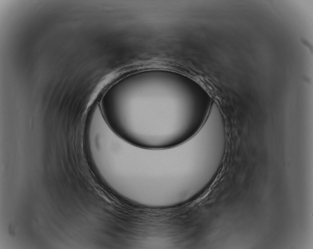 X0000091980056200709061200