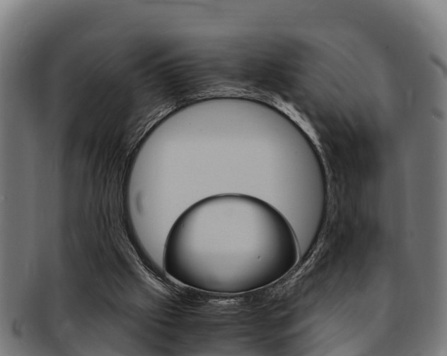X0000091980057200709061200