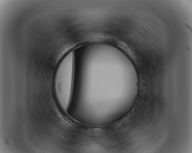 X0000091980058200709061200