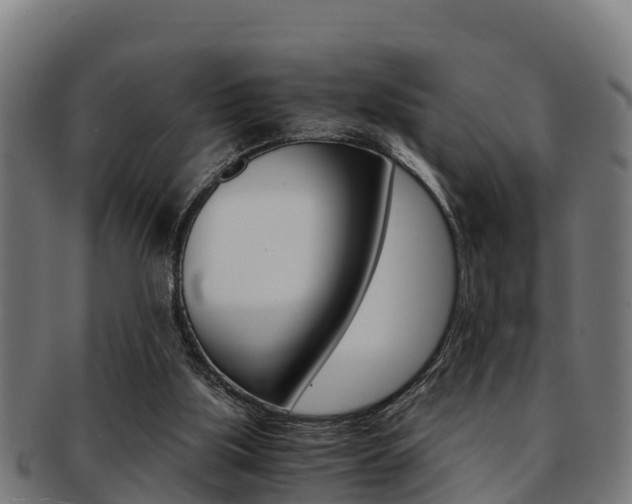 X0000091980059200709061200