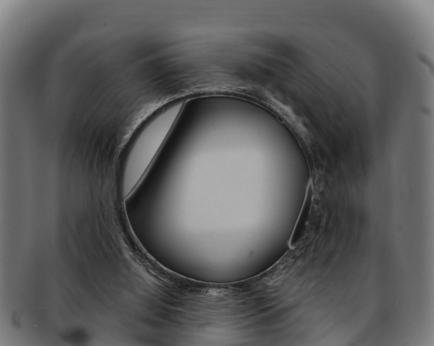 X0000091980060200709061200