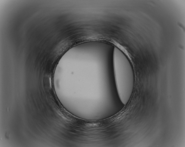 X0000091980061200709061200