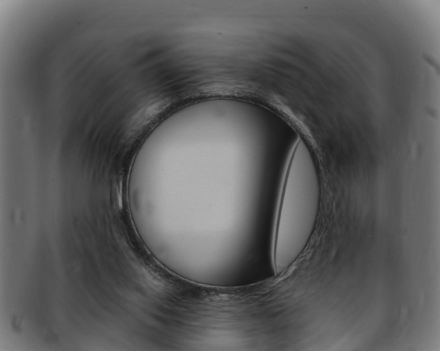 X0000091980062200709061200