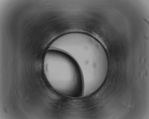 X0000091980063200709061200