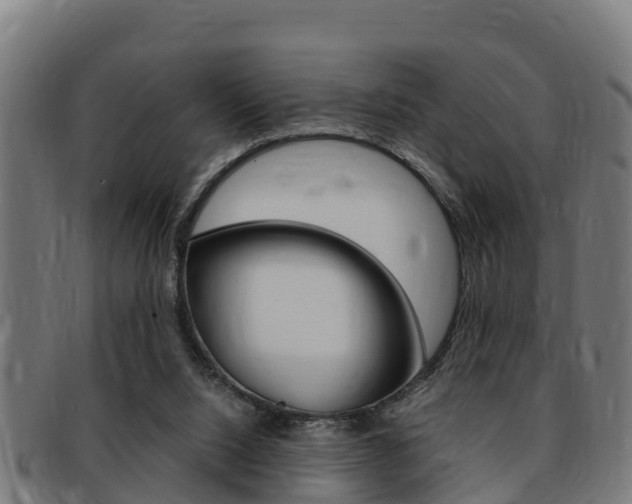 X0000091980064200709061200