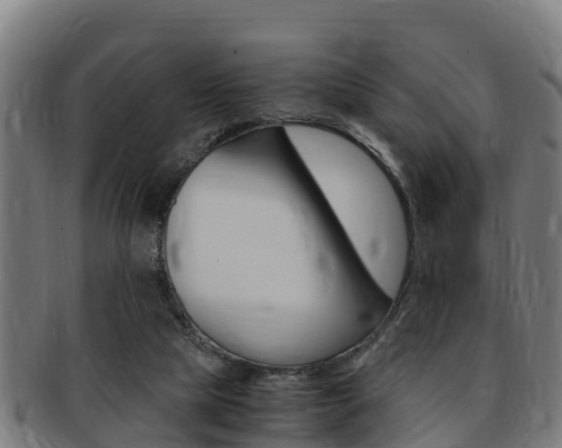 X0000091980065200709061200