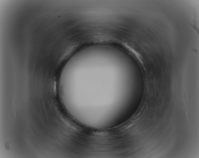 X0000091980067200709061200