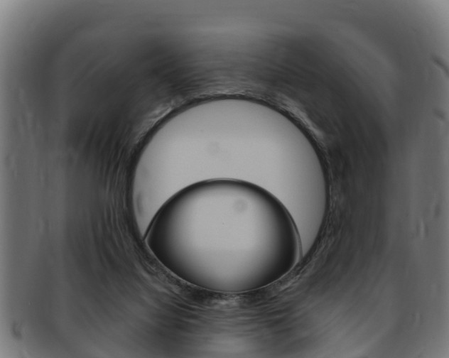X0000091980068200709061200
