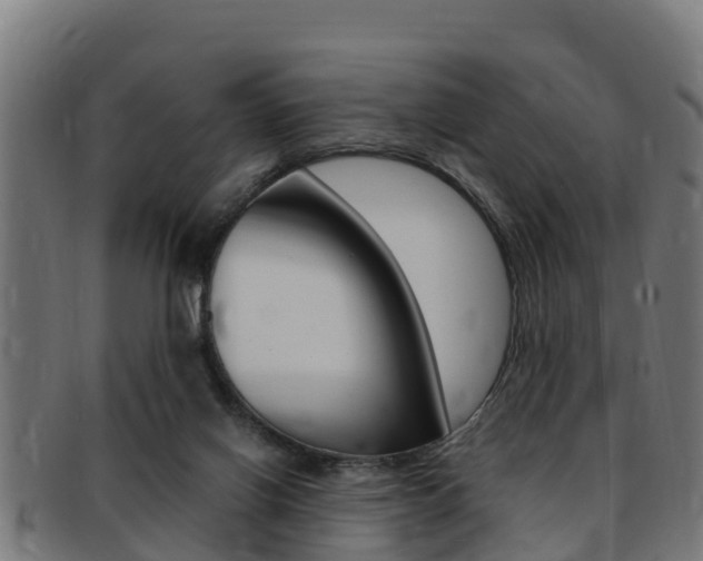 X0000091980070200709061200