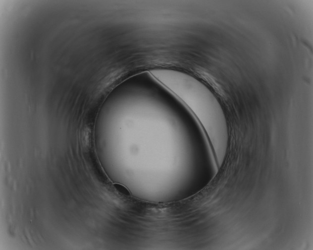 X0000091980071200709061200