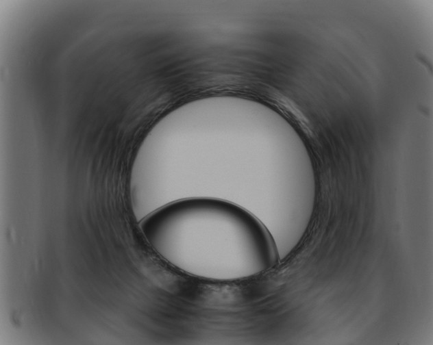 X0000091980073200709061200