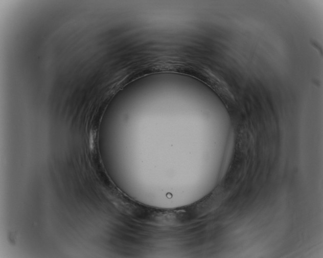 X0000091980075200709061200