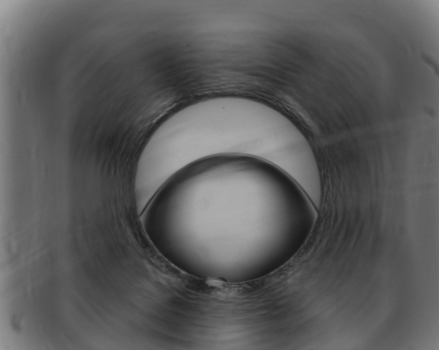 X0000091980076200709061200