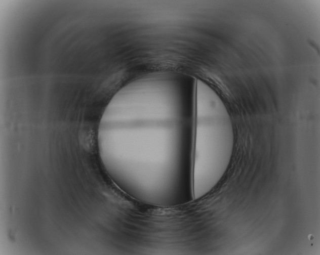 X0000091980077200709061200