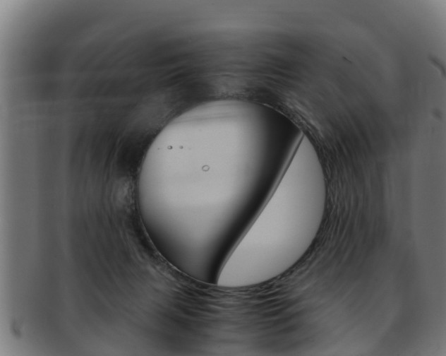 X0000091980079200709061200
