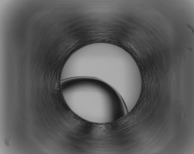 X0000091980083200709061200