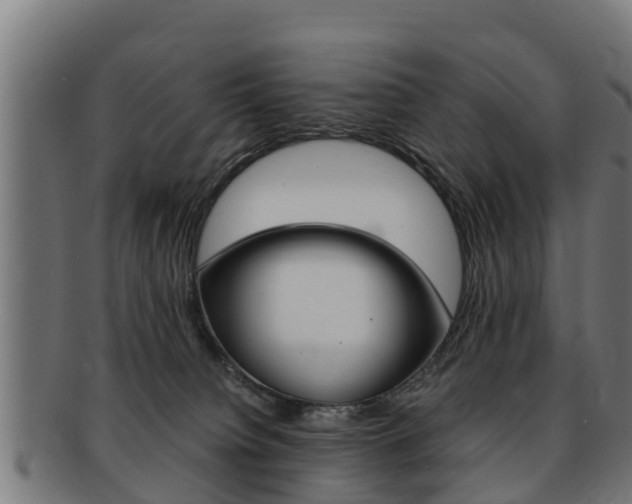 X0000091980084200709061201