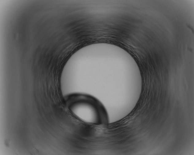 X0000091980085200709061201