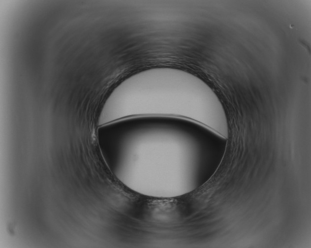 X0000091980089200709061201
