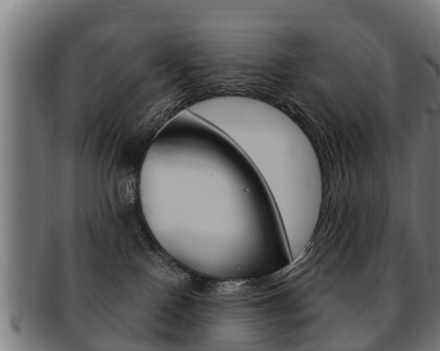 X0000091980090200709061201