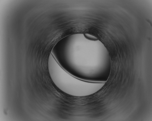 X0000091980091200709061201