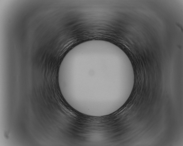 X0000091980092200709061201