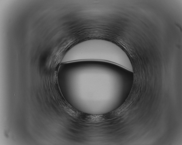 X0000091980093200709061201