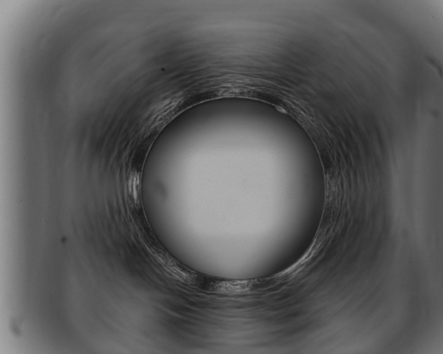 X0000091980094200709061201