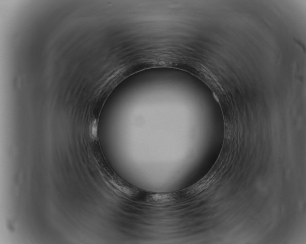 X0000091980095200709061201