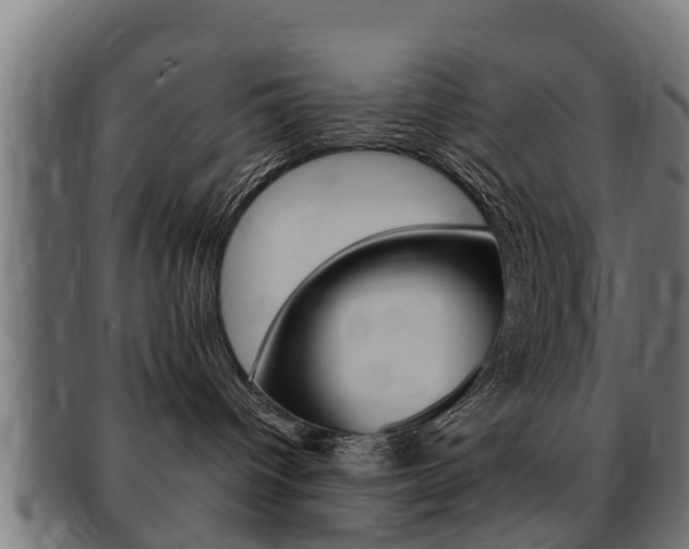 X0000091980096200709061201