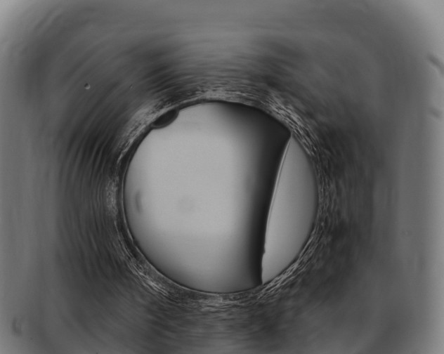 X0000091980098200709061200