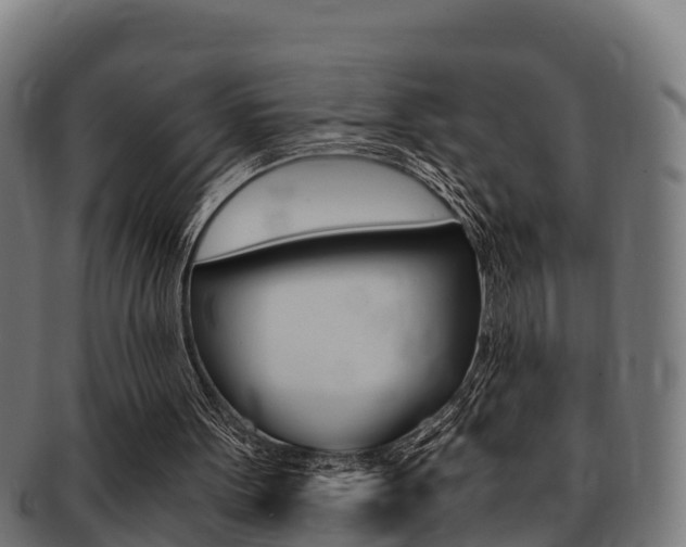 X0000091980099200709061200
