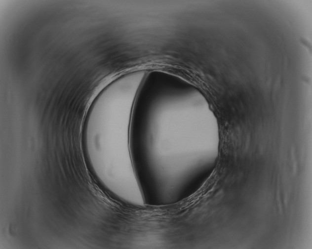 X0000091980100200709061200
