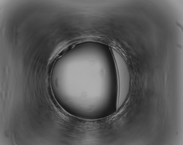 X0000091980101200709061200