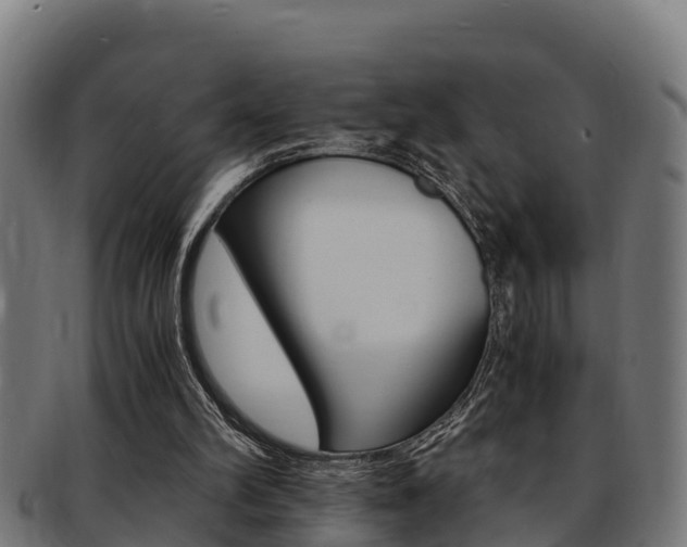 X0000091980102200709061200