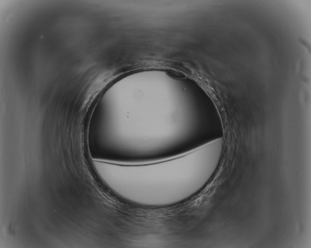 X0000091980103200709061200