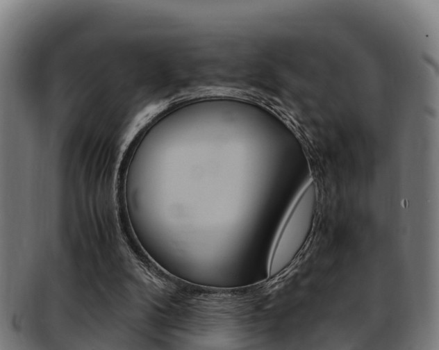 X0000091980104200709061200