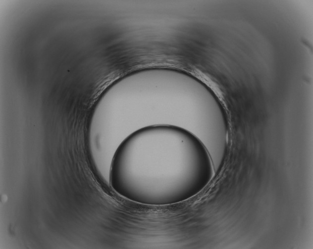X0000091980105200709061200