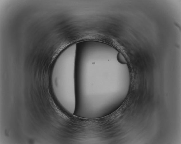 X0000091980106200709061200