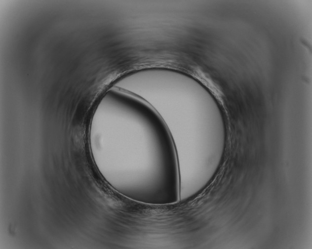 X0000091980107200709061200