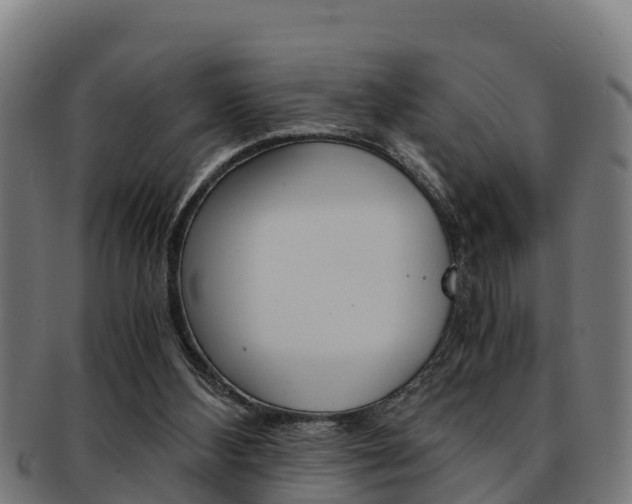 X0000091980108200709061200